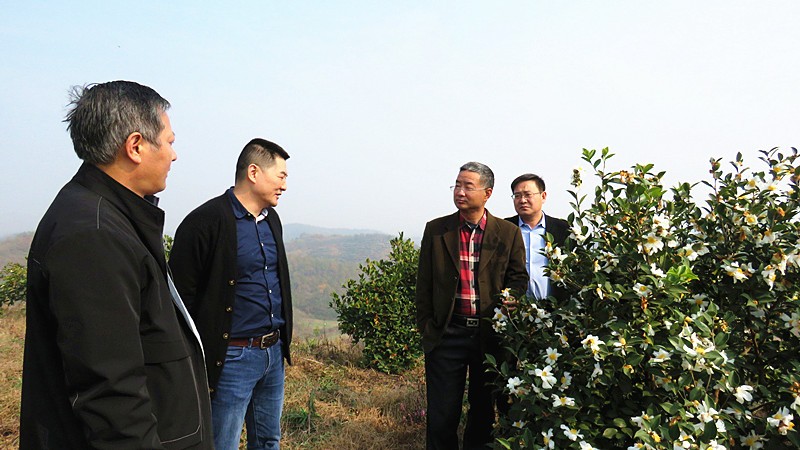 市、縣農(nóng)業(yè)局來基地考察