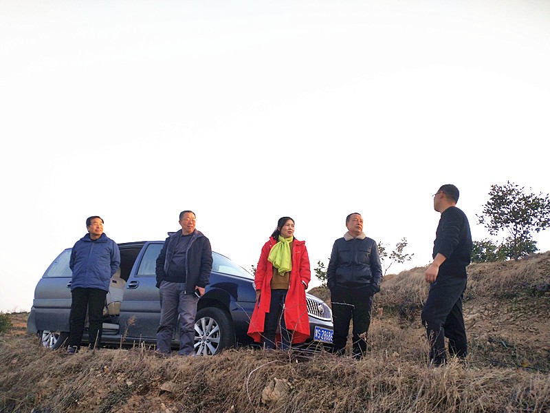 信陽市林茶局副局長閔中華一行到金源油茶基地指導(dǎo)低產(chǎn)林改造