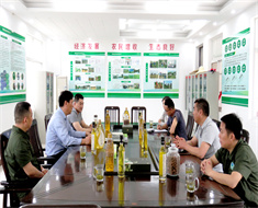 信陽市林茶局局長吳國慶來金源油茶調(diào)研油茶發(fā)展情況