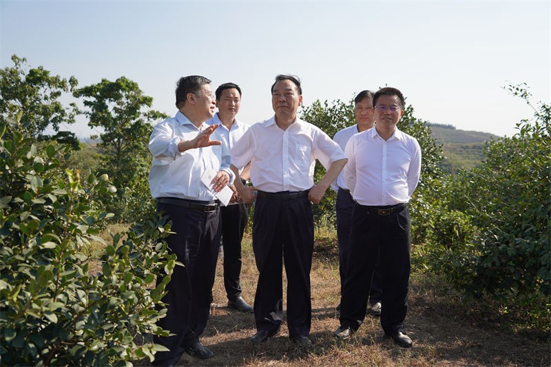 省林業(yè)局局長原永勝一行到金源油茶基地考察