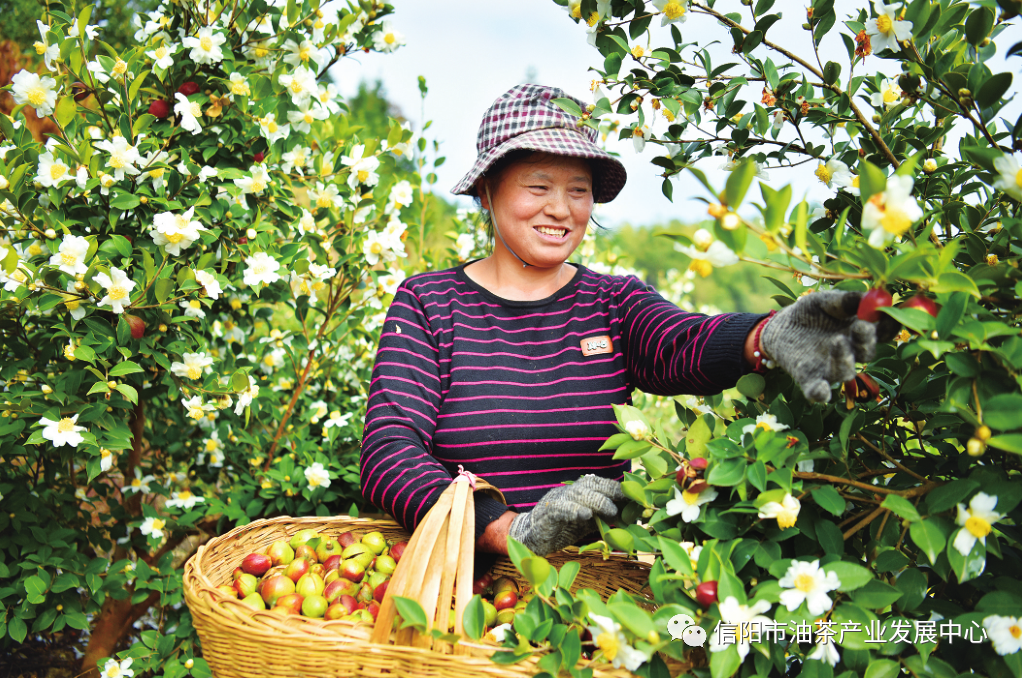 路子找到了,就要大膽去做!