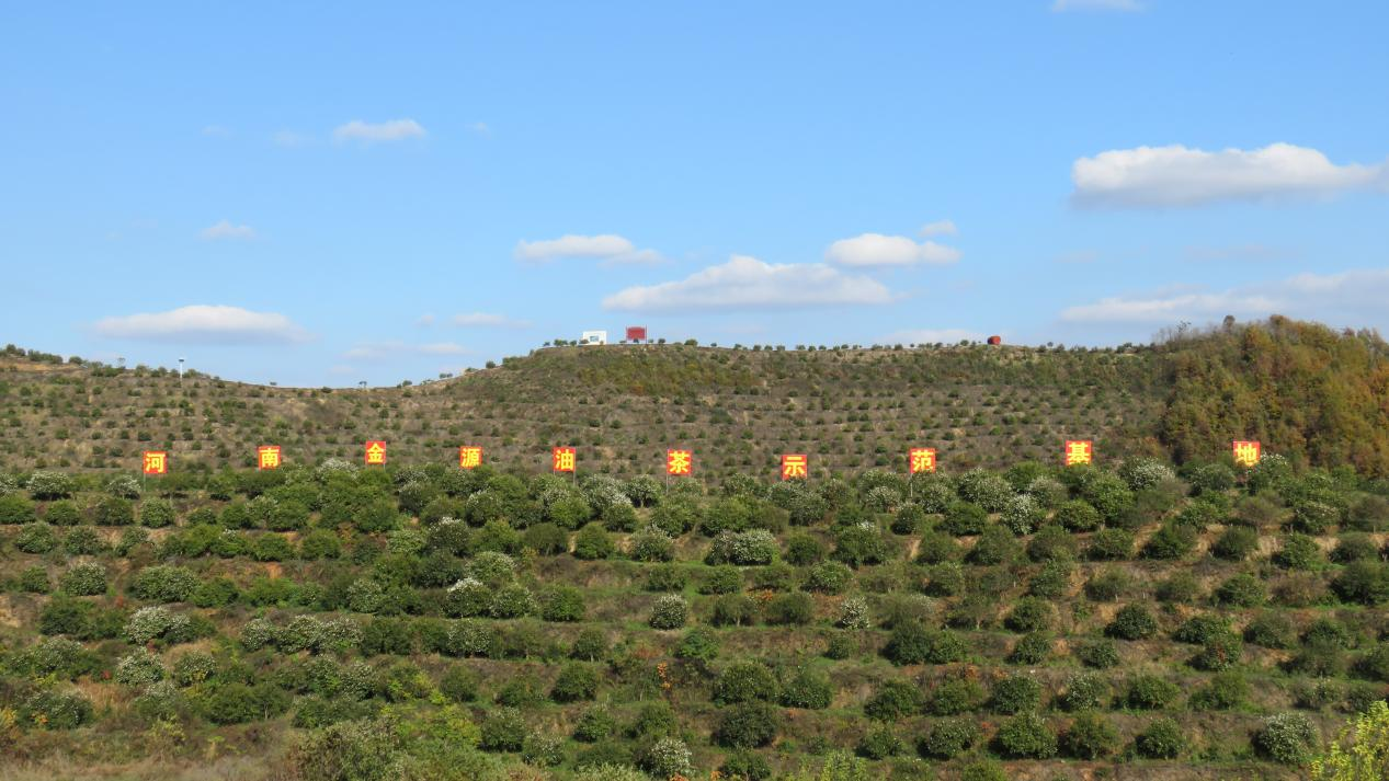 中林集團(tuán)黨委委員、副總經(jīng)理李留彬到金源油茶考察：聚焦油茶產(chǎn)業(yè)一二三產(chǎn)融合發(fā)展