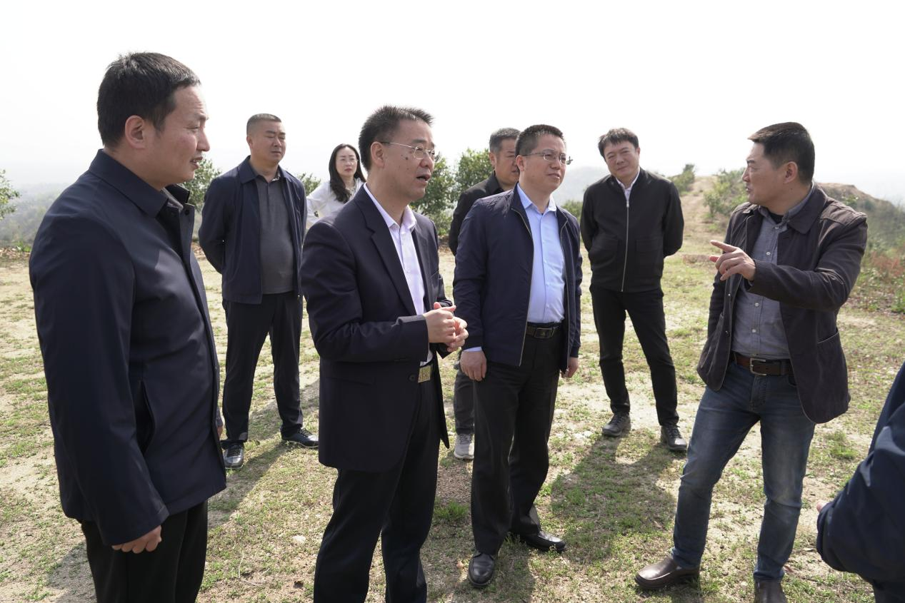 中林集團(tuán)黨委委員、副總經(jīng)理李留彬到金源油茶考察：聚焦油茶產(chǎn)業(yè)一二三產(chǎn)融合發(fā)展